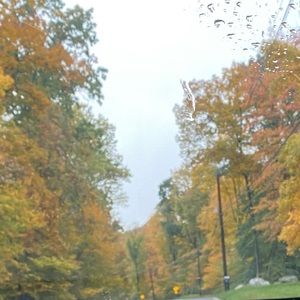 Meet your Posher, Bailey